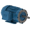 WEG 00118ET3V143JM-W22 at Dealers Industrial