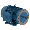 WEG 06036ET3E326JM-W22 at Dealers Industrial