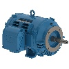 01518OT3E254JM-W40-WEG-Dealers Industrial