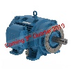 10018OT3E404JM-W40-WEG-Dealers Industrial