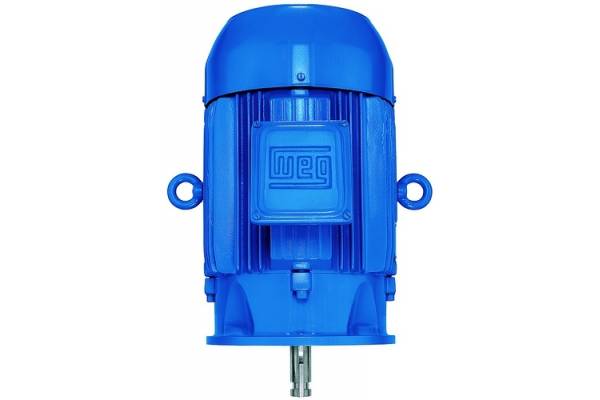 GENERICO Motor Electrico Able 0,18kw (0,25hp) frame 63 B3 2P 220V