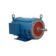 02518OT3H284JM-Dealers Electric-Weg